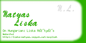 matyas liska business card